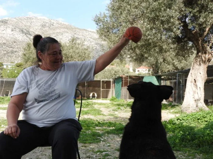 Linda ha rescatado a cientos de perros