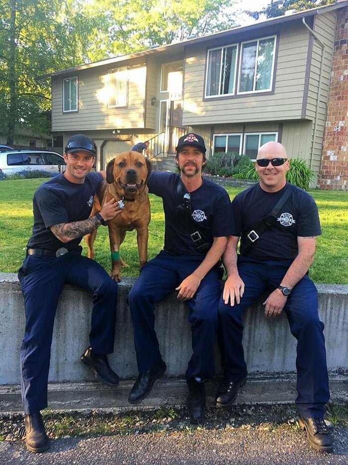 Los bomberos y Sampson Los bomberos y Sampson