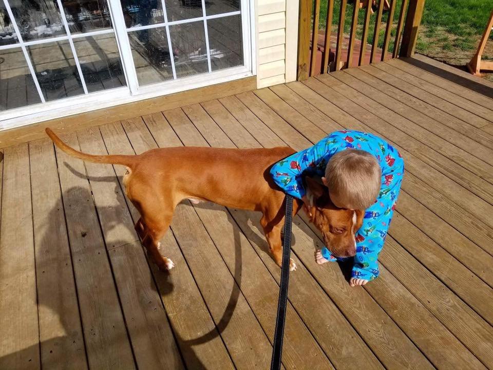 Perro iba a ser sacrificado Perro iba a ser sacrificado