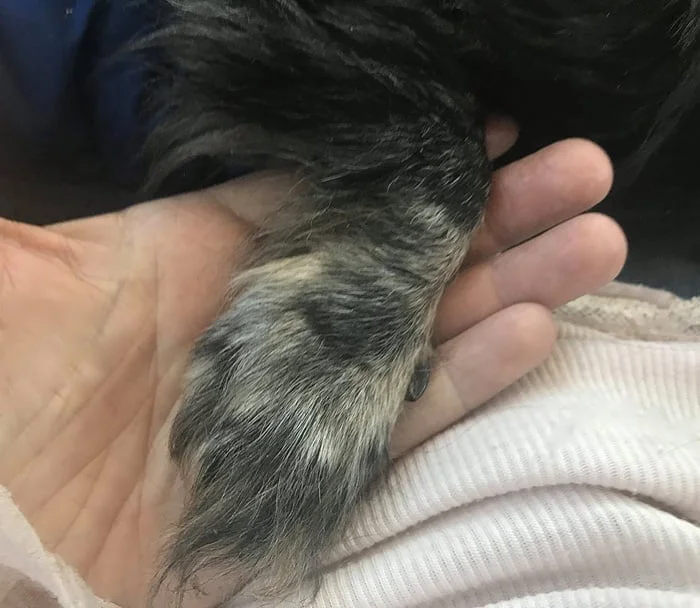 Seamans le brindó una nueva oportunidad