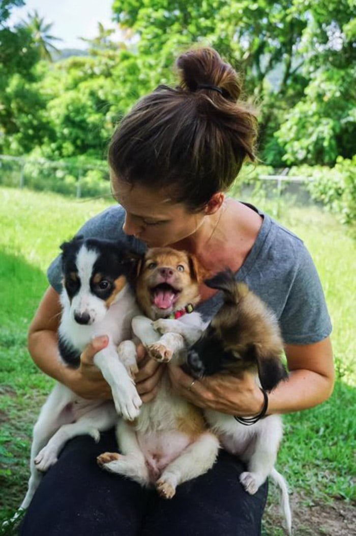 Perros Perros
