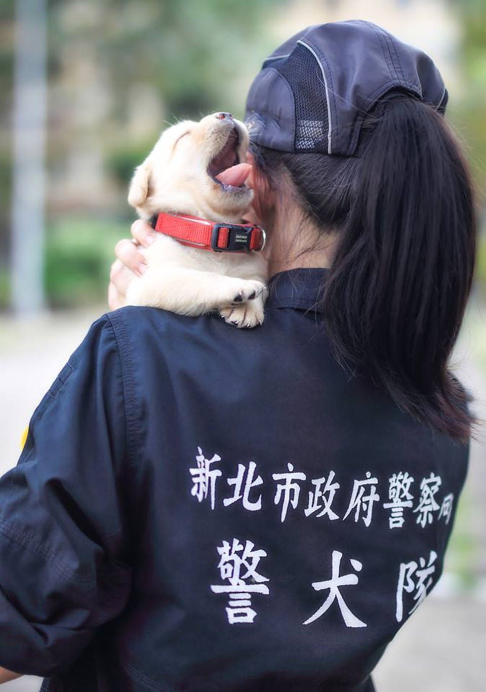 Cachorro en la policía de Taiwán