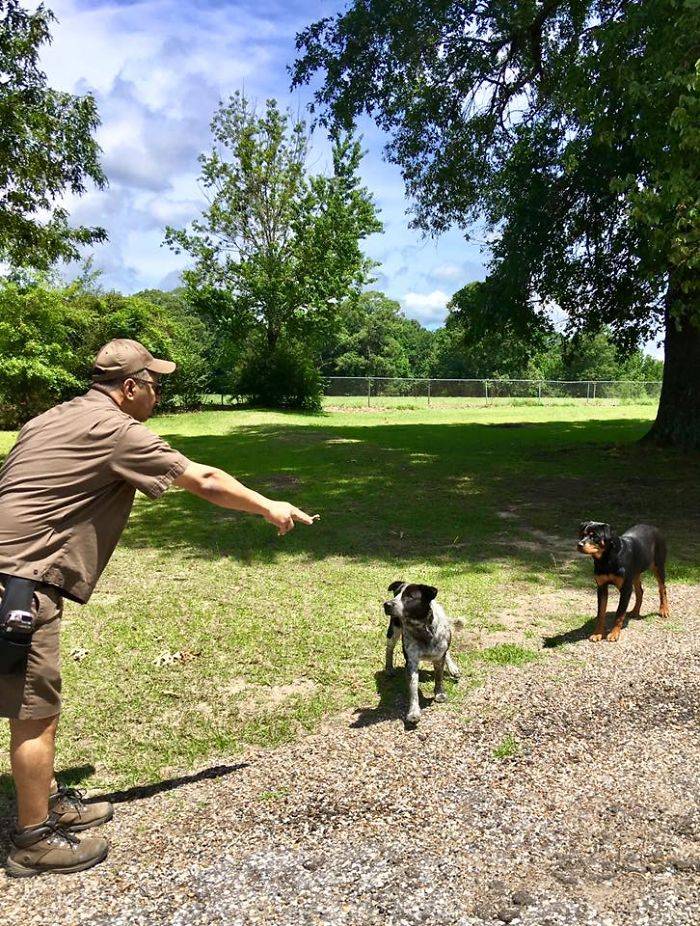 Conductor de UPS se toma selfies con perros