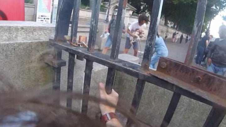 Hombre rescata perro