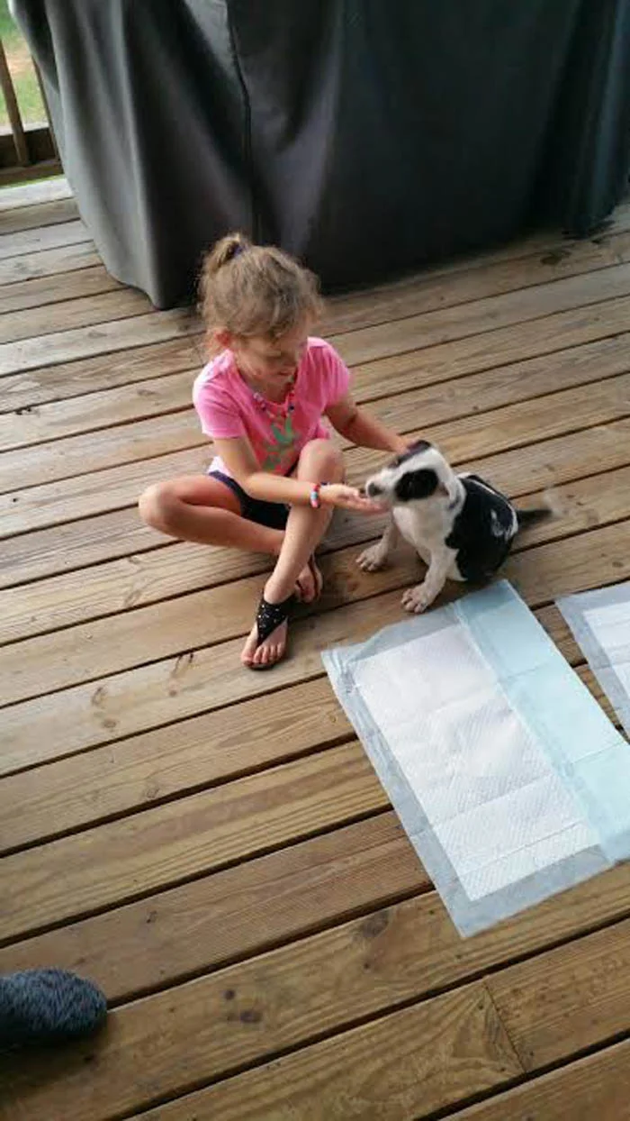 La nieta de Hanners y Bridget