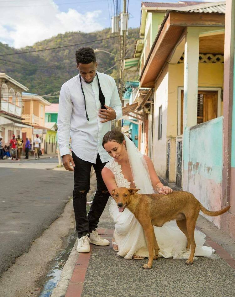 Logan Ryan rescata perros Logan Ryan rescata perros