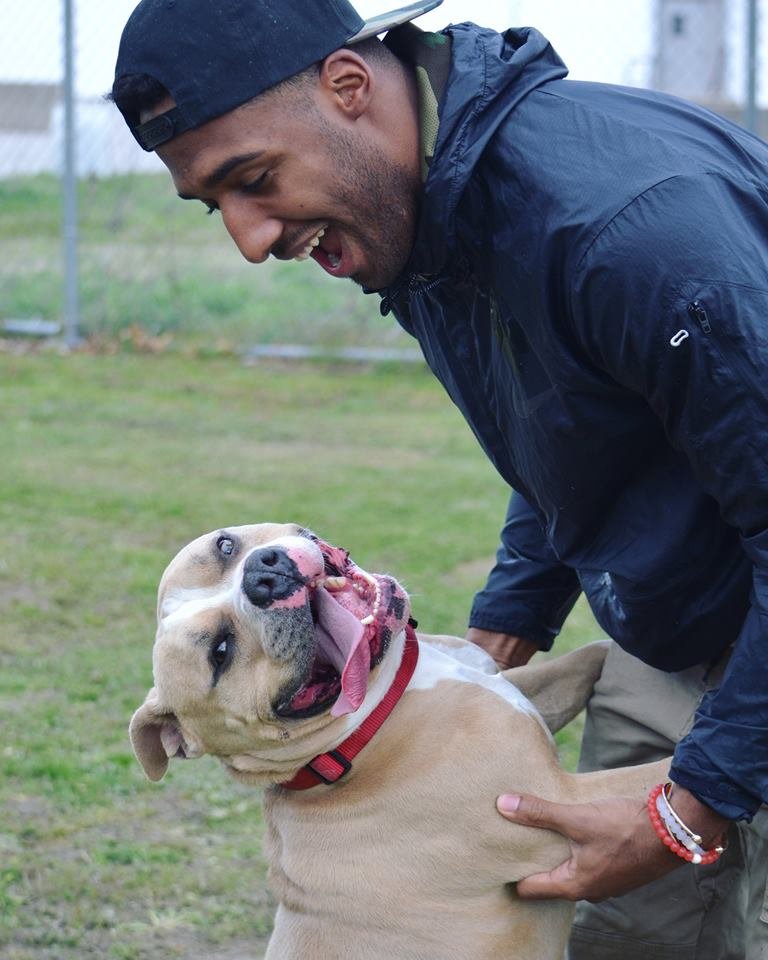 Logan Ryan y un pitbull Logan Ryan y un pitbull