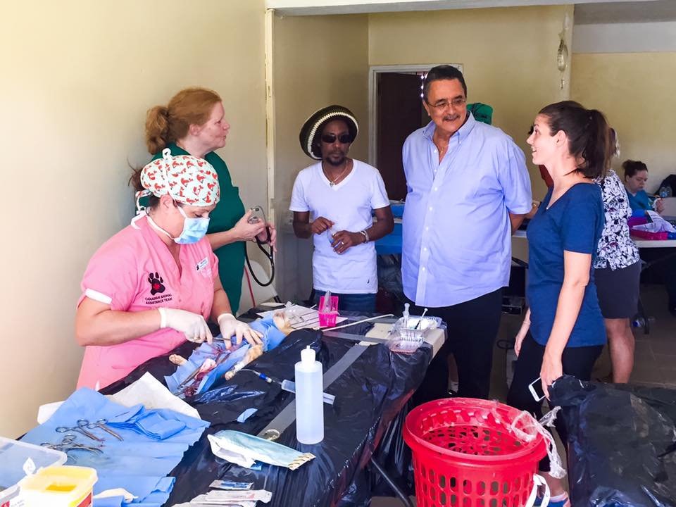 Organización HelPaws Organización HelPaws