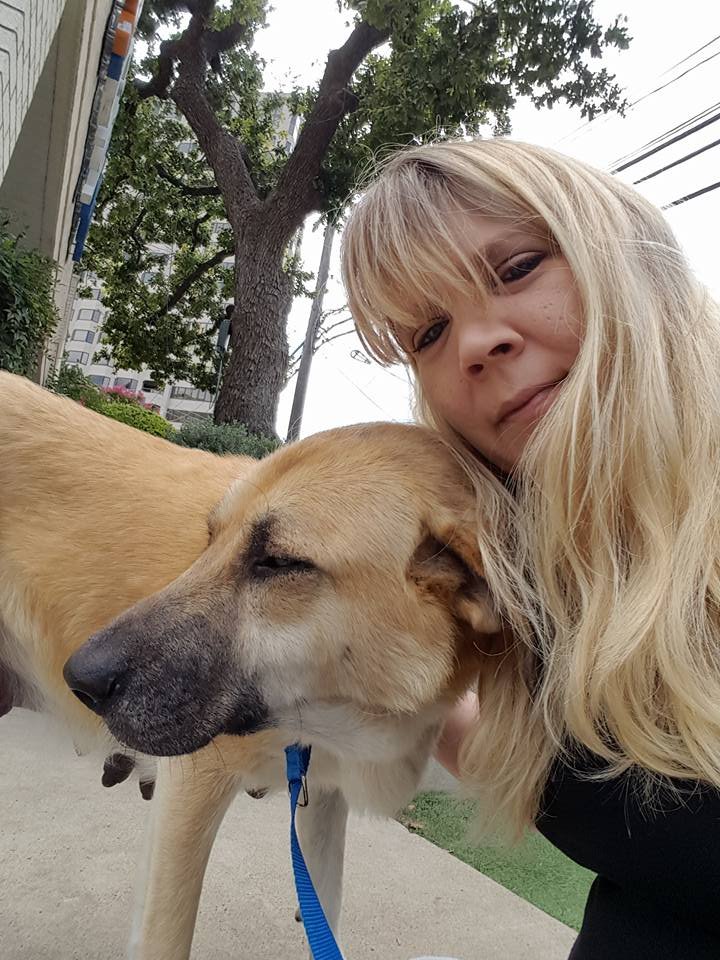 Perra fue abandonada con su cachorro muerto
