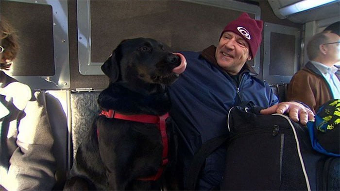Perro viajando en autobús Perro viajando en autobús