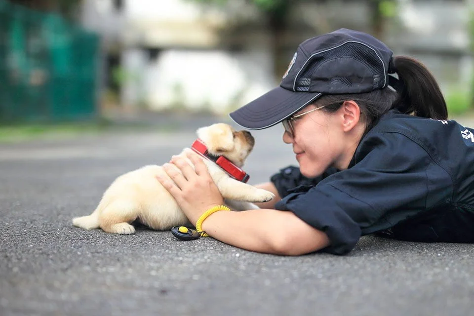 Policía y cachorro