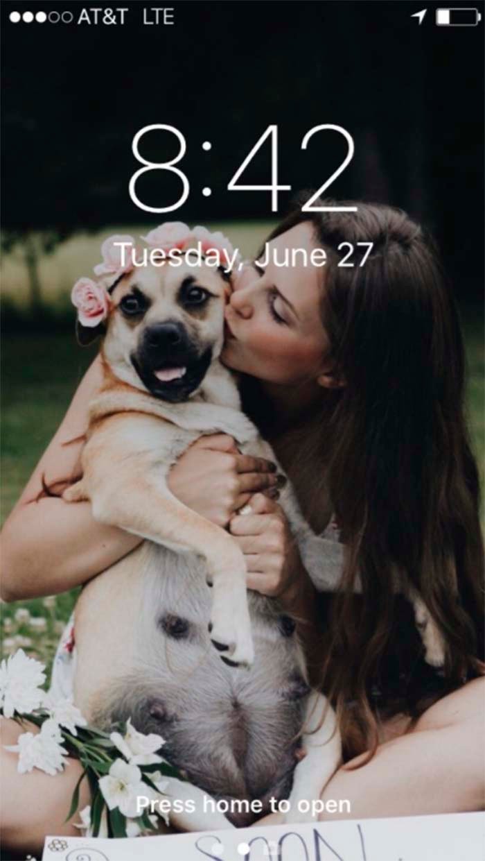 Protector de pantalla