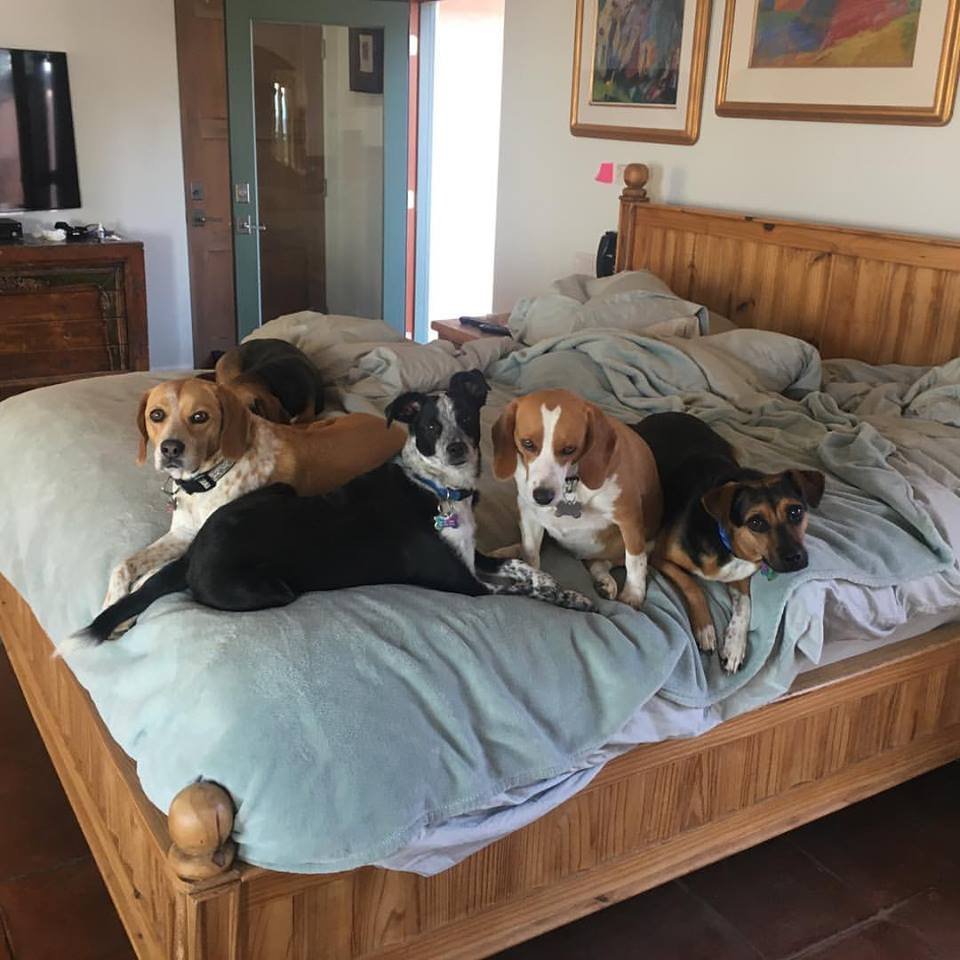 Toots y sus hermanos
