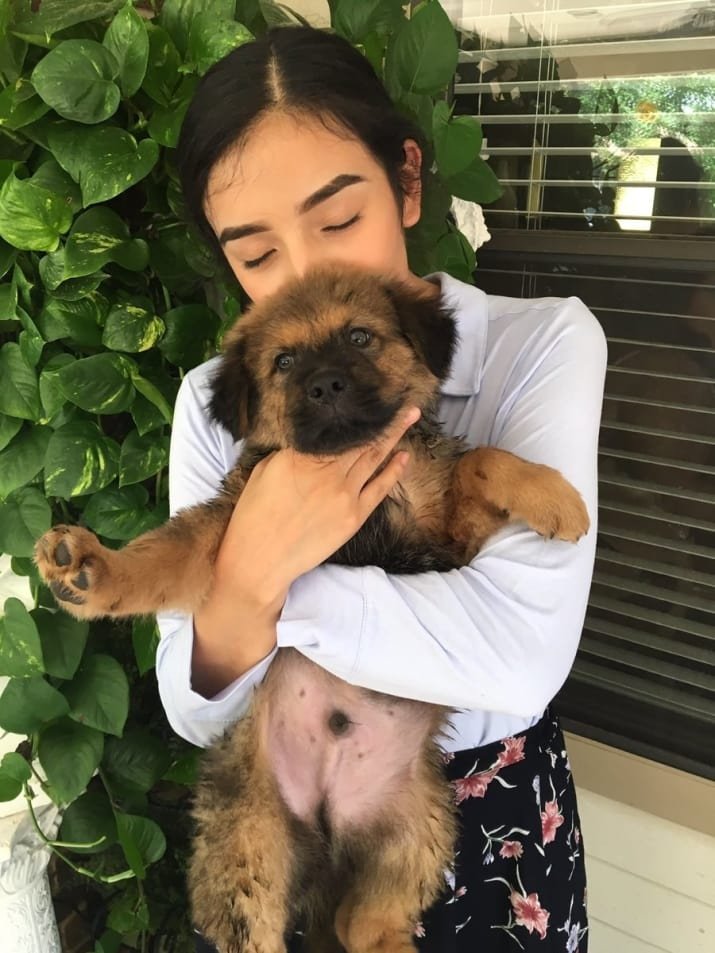 Cada aniversario adoptan perro Cada aniversario adoptan perro