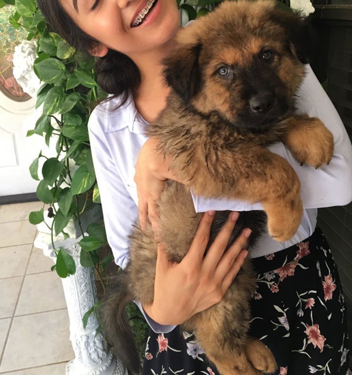 Chewy adoptado Chewy adoptado
