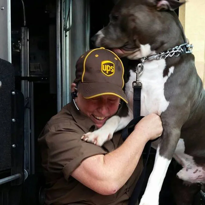 Conductor de UPS adopta pitbull