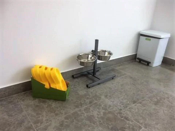 Dogspital adecuado para los perros Dogspital adecuado para los perros