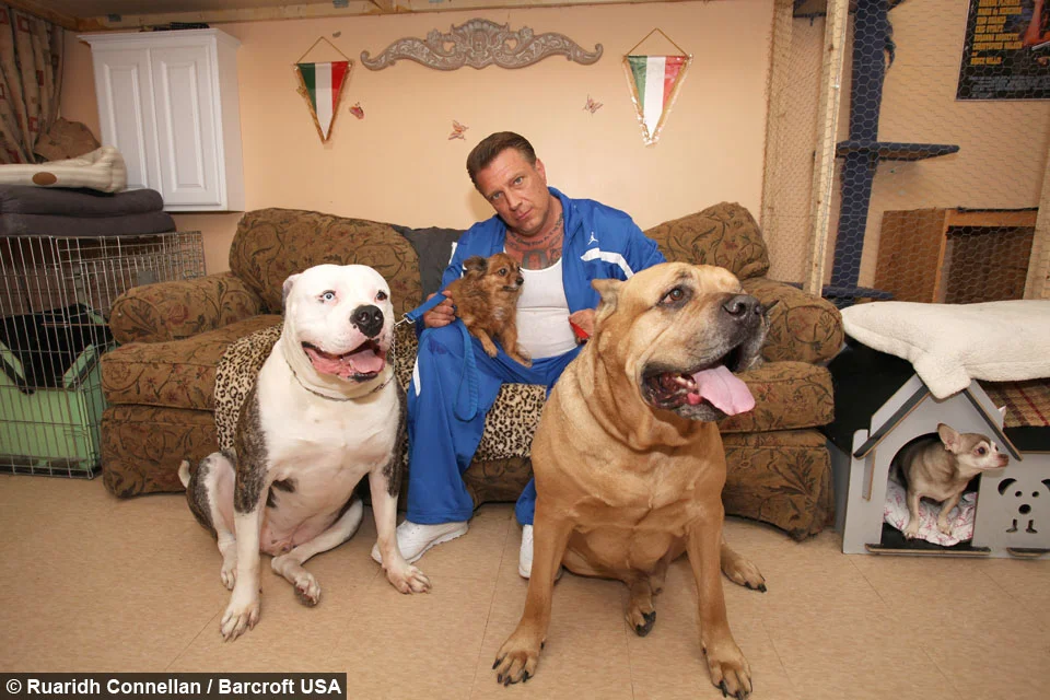 Ex mafioso ama a los animales