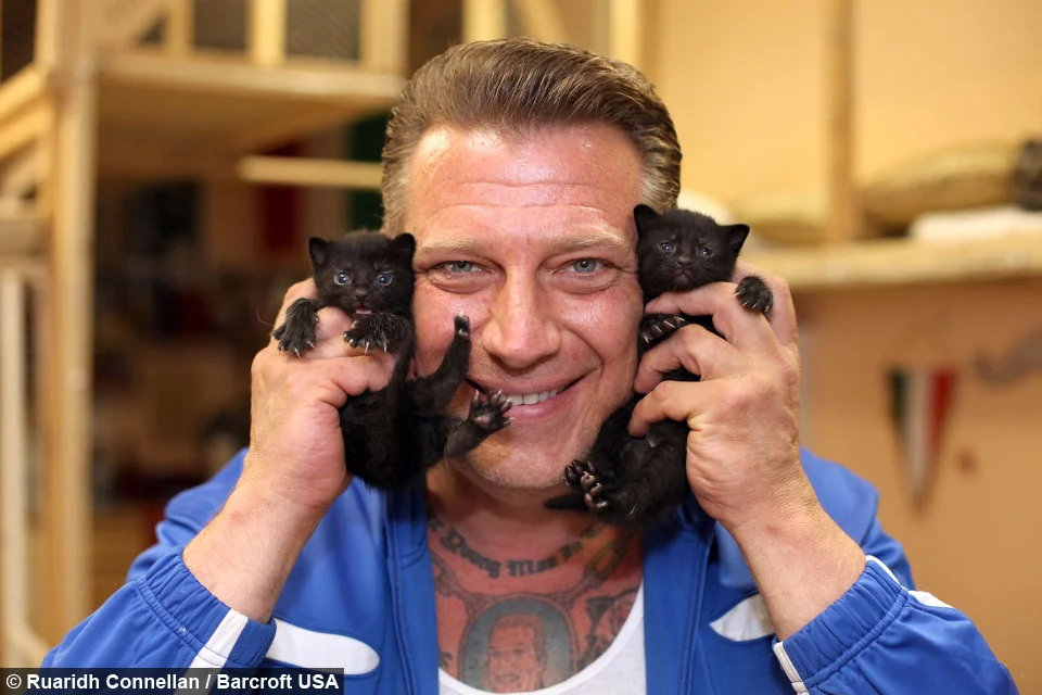 Ex mafioso rescata animales maltratados