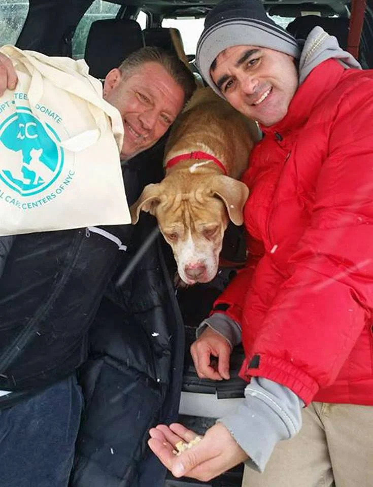 Ex mafioso rescata animales