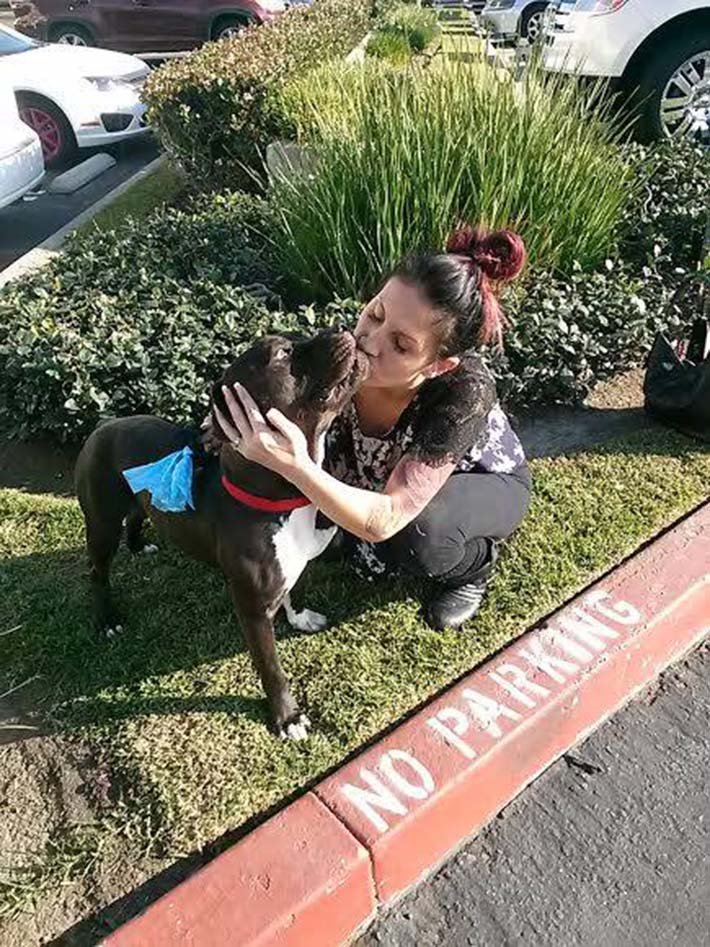 Hombre se ríe cuando abandona a su perro Hombre se ríe cuando abandona a su perro