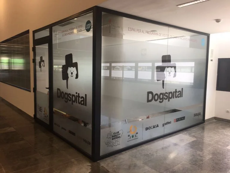 Hospital permite visitas de los perros Hospital permite visitas de los perros