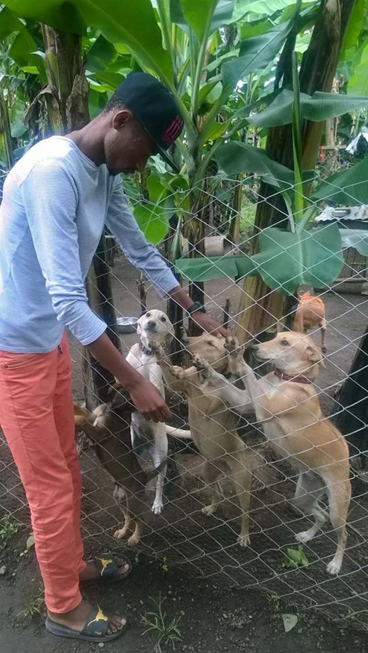 Ismael y sus perros rescatados