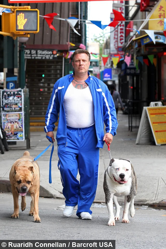 James Guiliani y sus perros