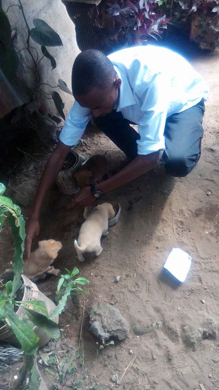 Joven rescata perros en Tanzania
