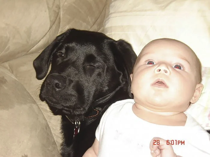 Le dijo a su hermana que no tuviera un perro Le dijo a su hermana que no tuviera un perro