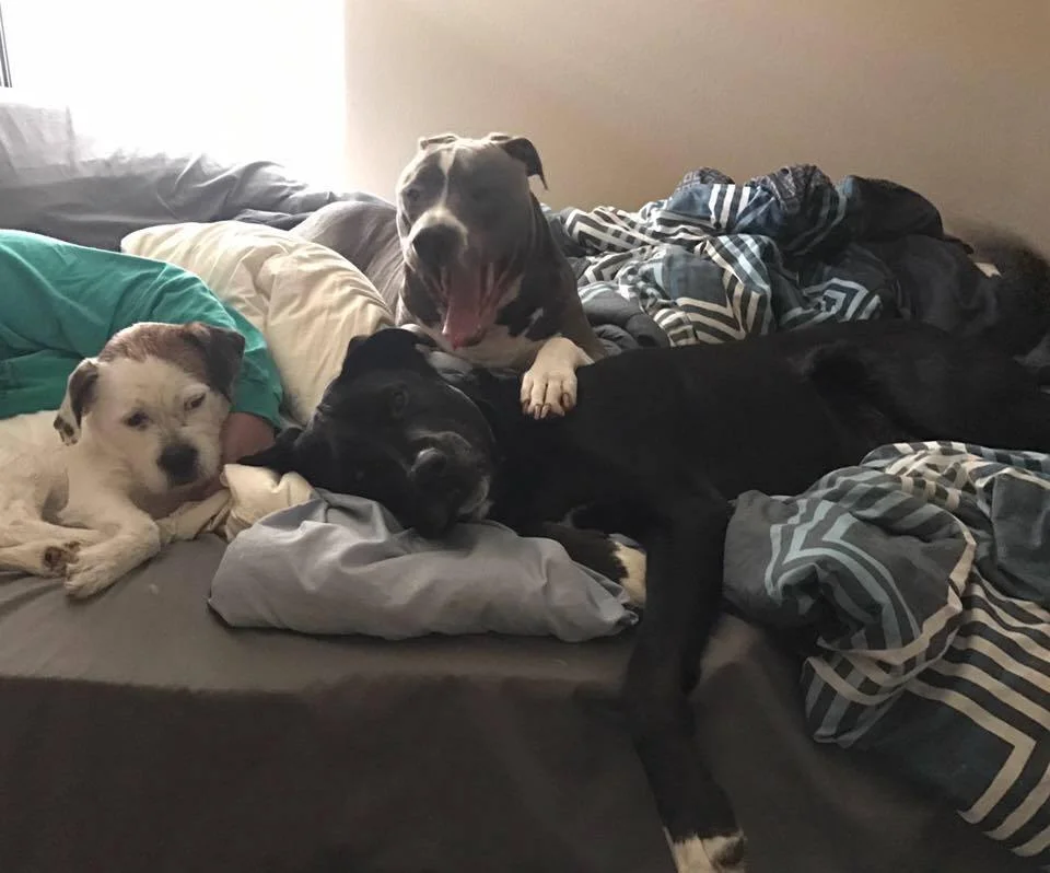 Leo y sus hermanos