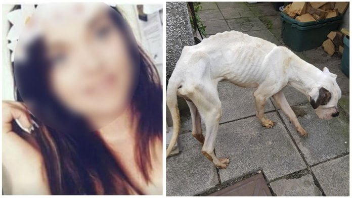 Mujer dejó a sus perros sin agua ni comida