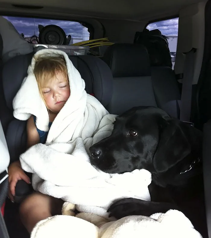 Niña y perro en el auto Niña y perro en el auto