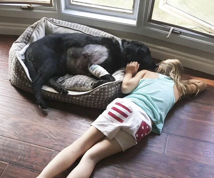 Niña y perro mejores amigos Niña y perro mejores amigos