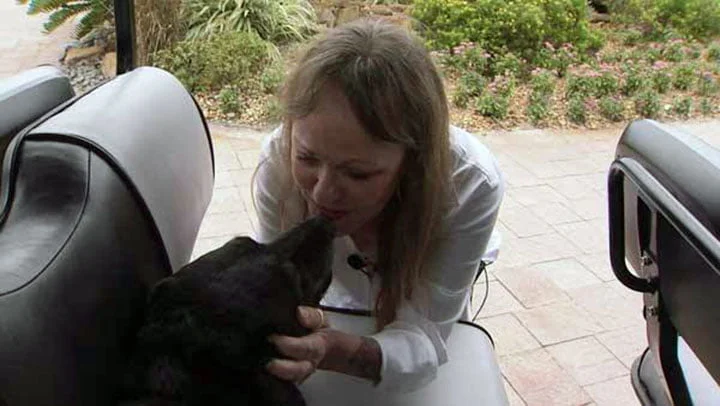 Perra adoptada por Helen Rich