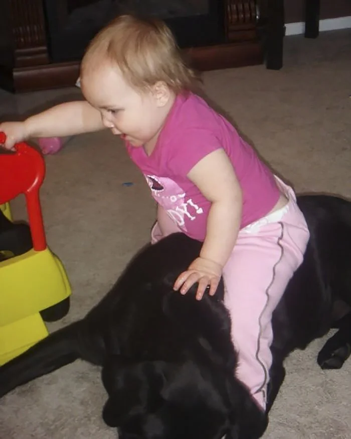 2008 Perro labrador y bebe
