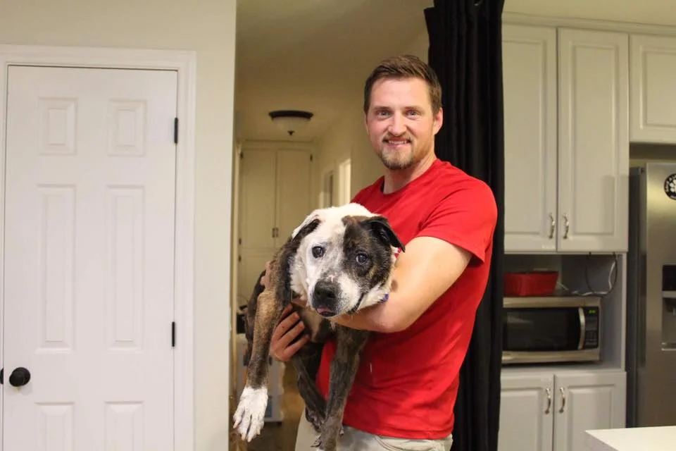 Perro rescatado por familia