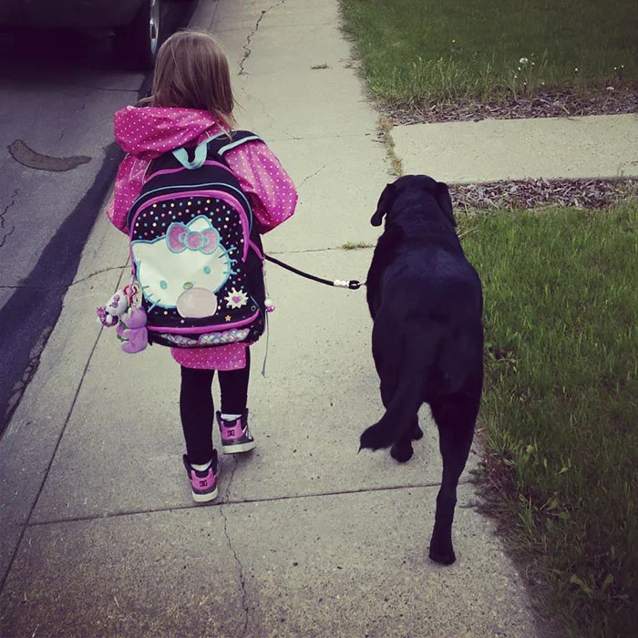 Perro y niña van a la escuela Perro y niña van a la escuela