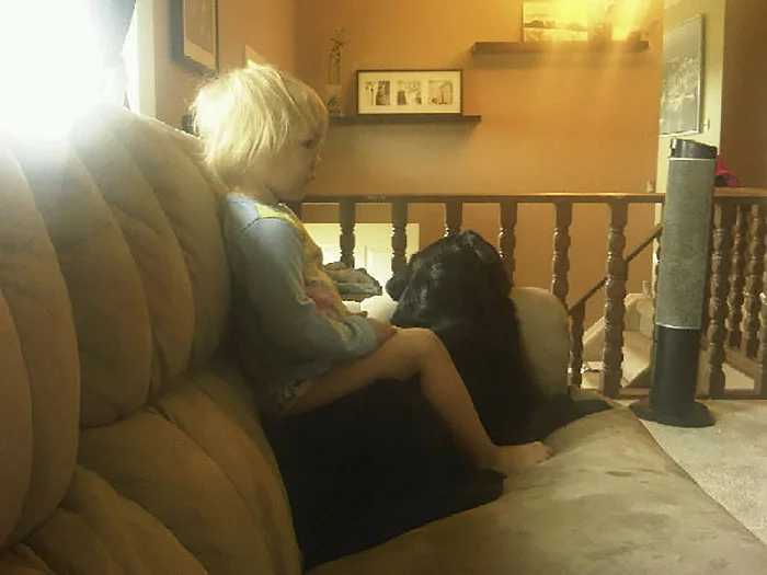 Perro y niña ven televisión Perro y niña ven televisión
