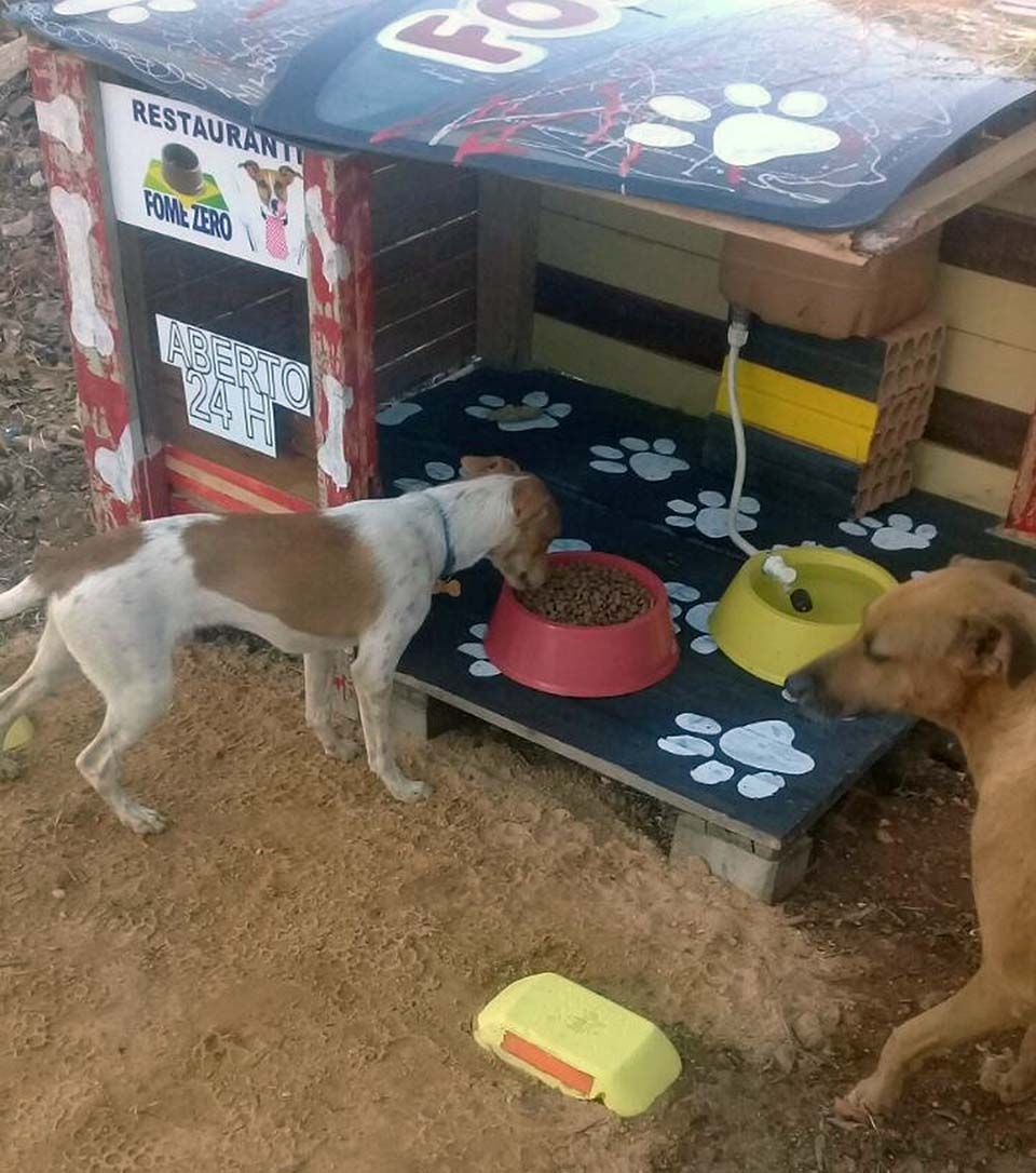 Perros comiendo