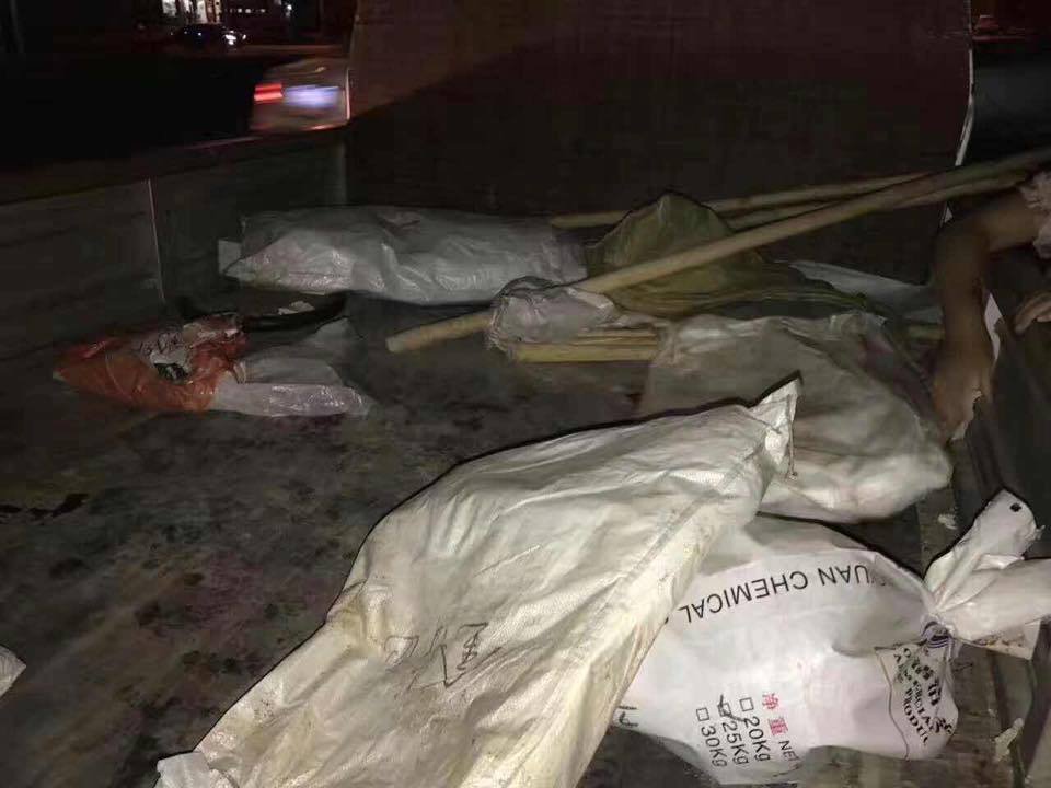 Perros golpeados para eliminar sobrepoblación