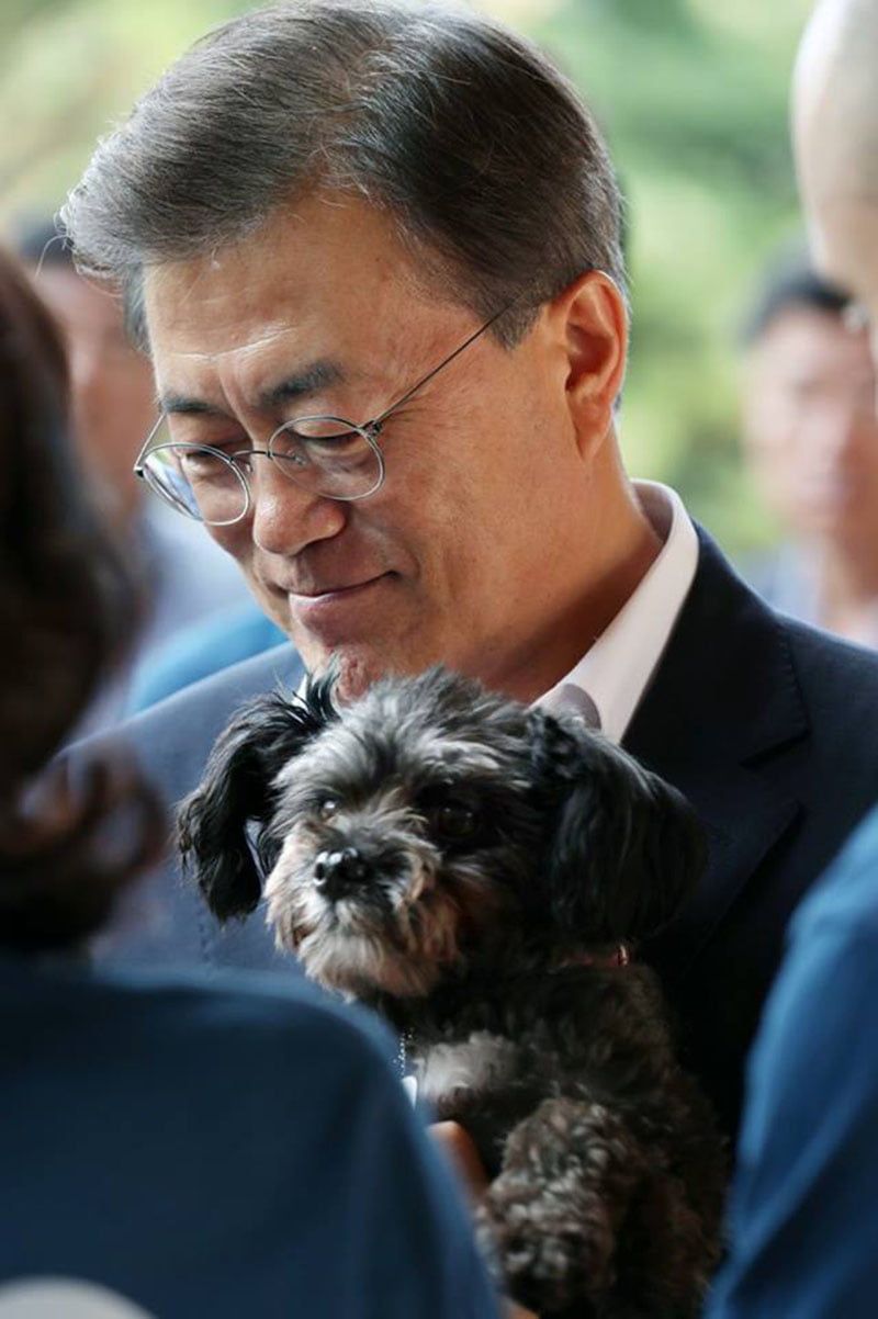 Sud Corea Presidente adotta cane