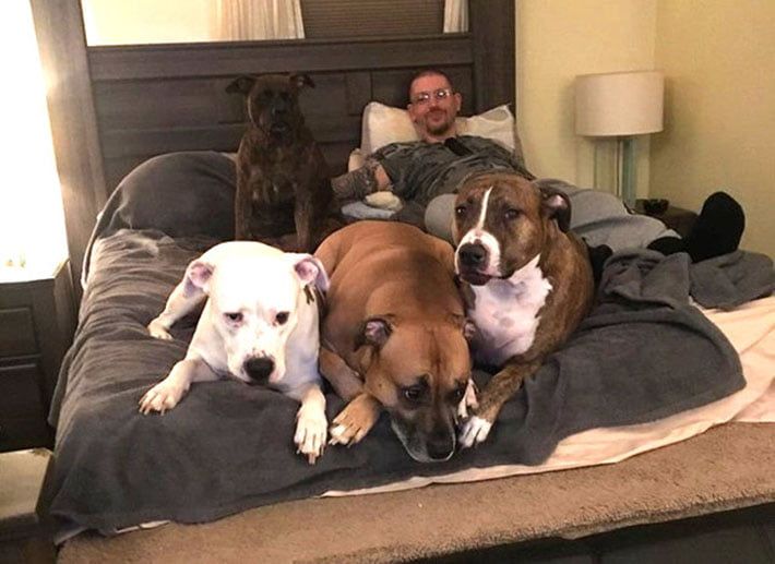 Aaron y sus perros
