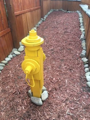 Convierte su patio trasero en un patio de recreo enorme para sus perros