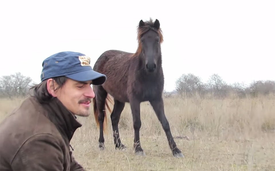 Caballo agradece a su salvador
