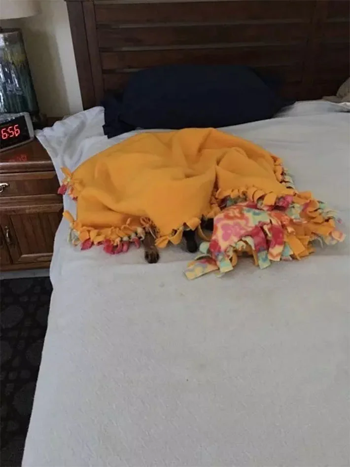 Jake en la cama Jake en la cama