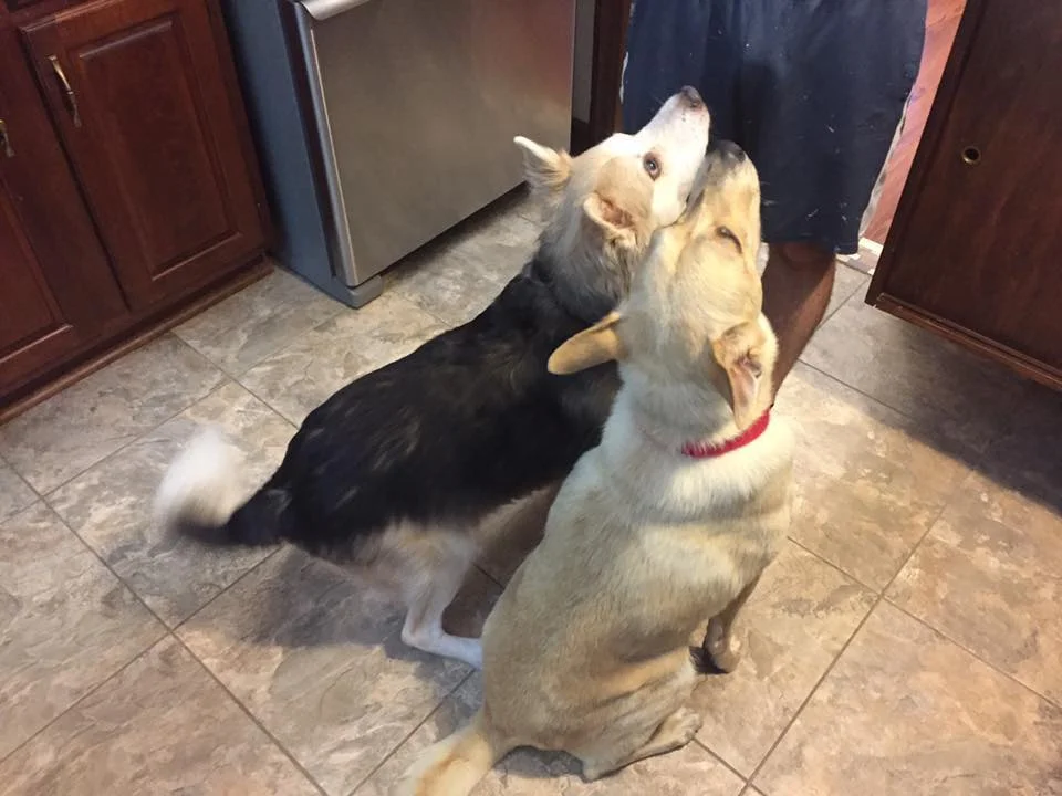 Maya es feliz Maya es feliz