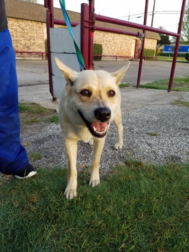Maya fue abandonada Maya fue abandonada