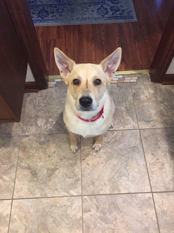 Maya Maya