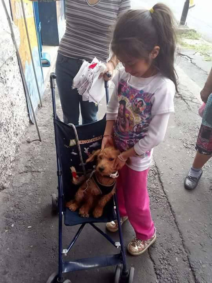 Niña y su perro